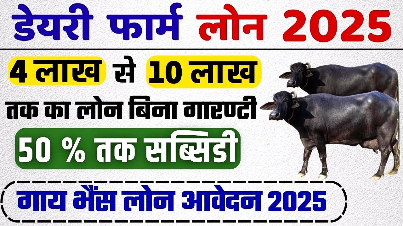 Dairy Farming Loan Apply Online